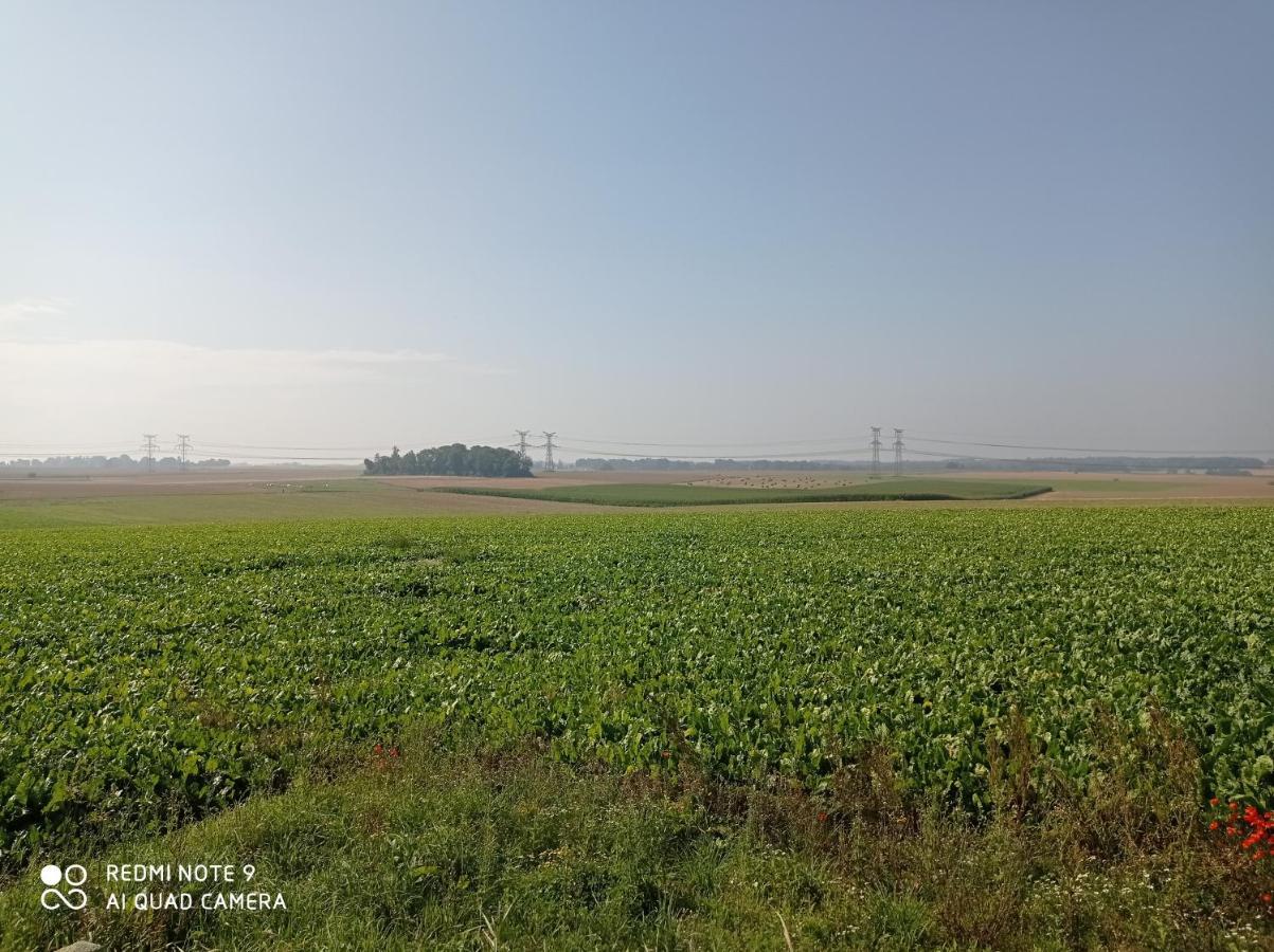 Pulilane Otel Le Torp-Mesnil Dış mekan fotoğraf